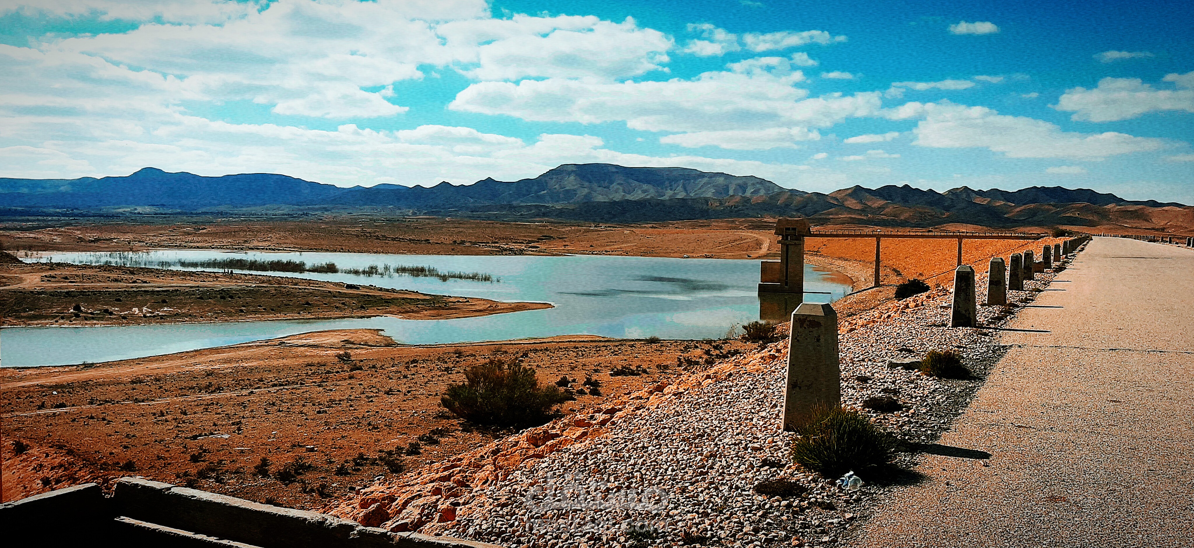 اعمل التصوير فيتوغرافي