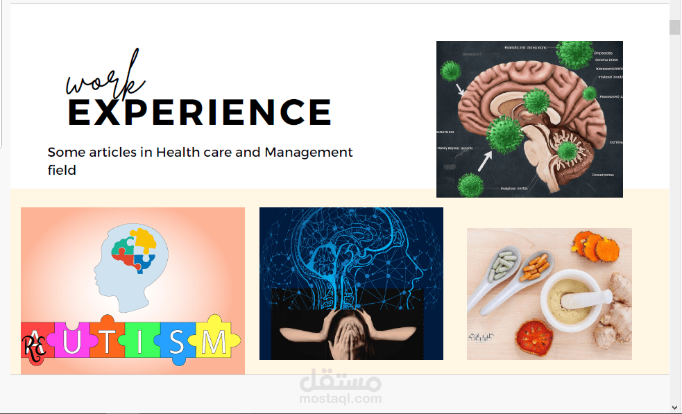 The portfolio Includes some articles