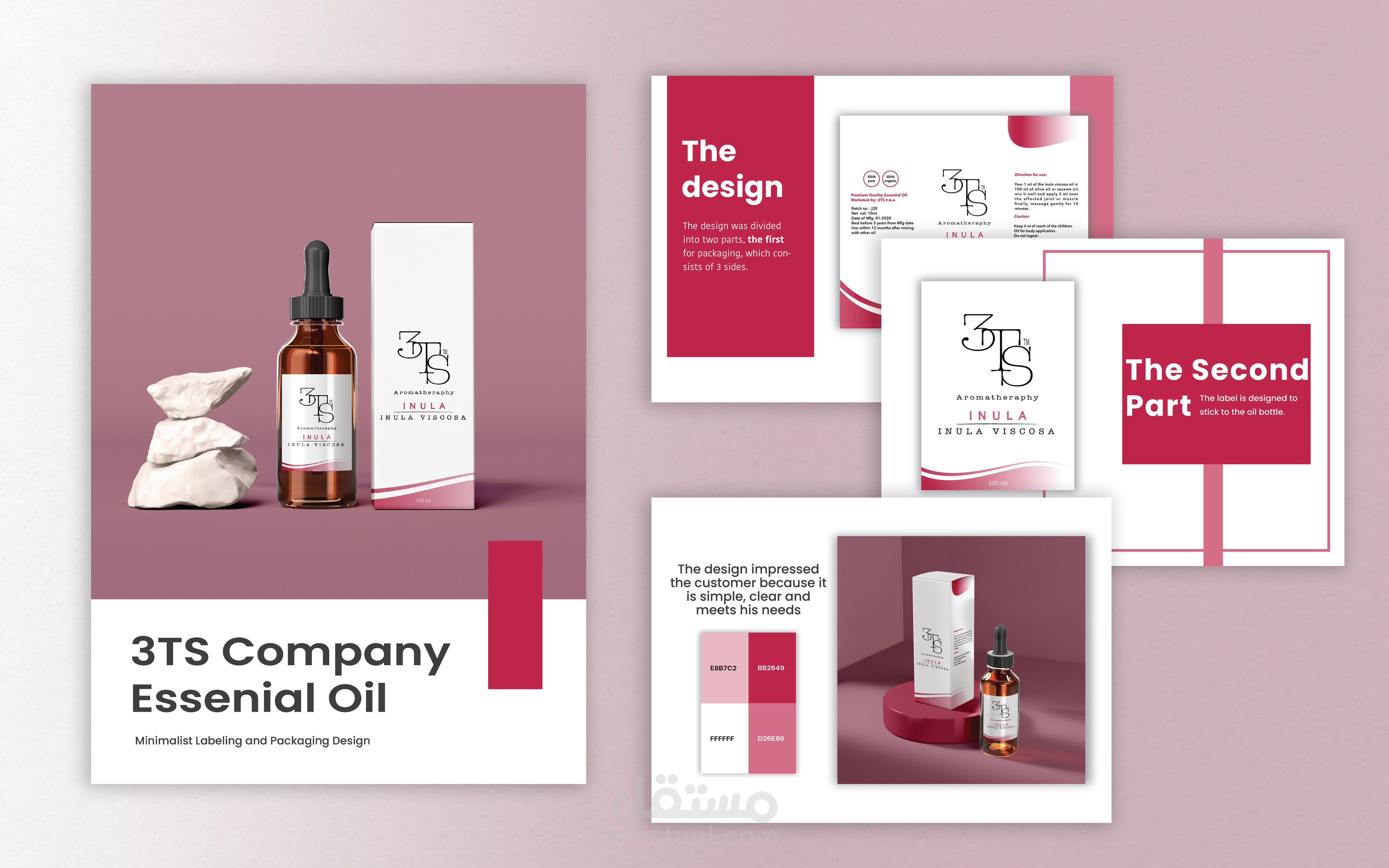 تصميم الملصقات والتغليف لشركة  Label and packaging design for 3TS Company | 3TS
