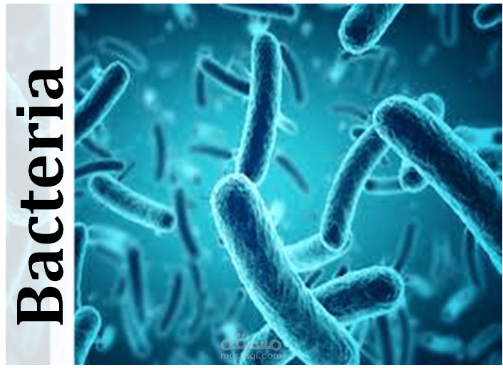 Research for bacteria