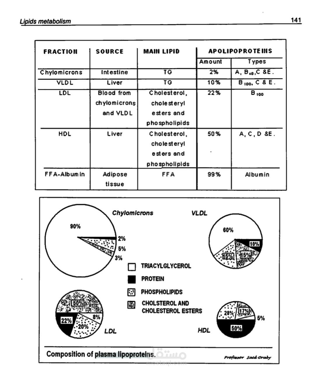 كتابة وترجمة