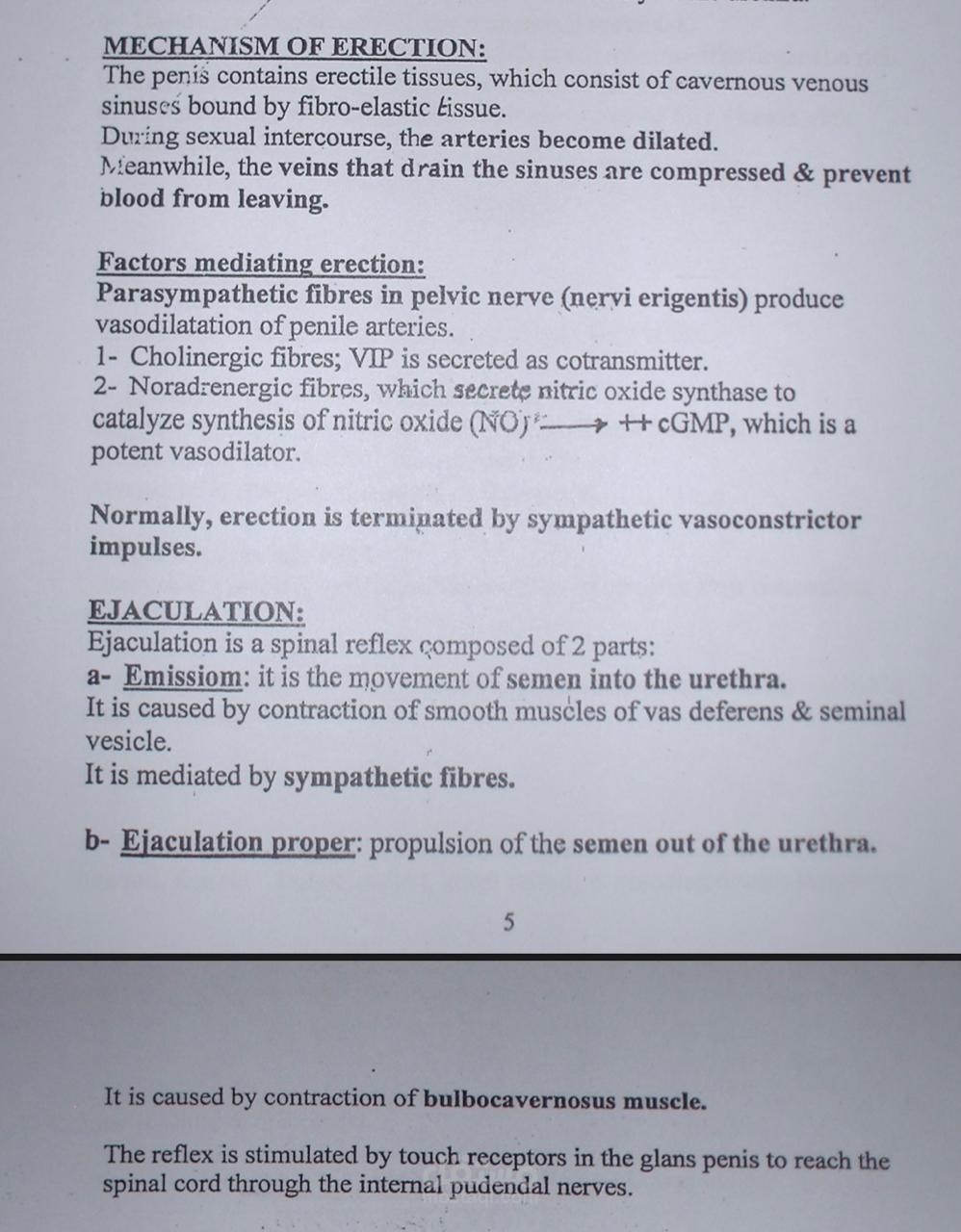 كتابة تقارير وعمل شيتات اكسيل