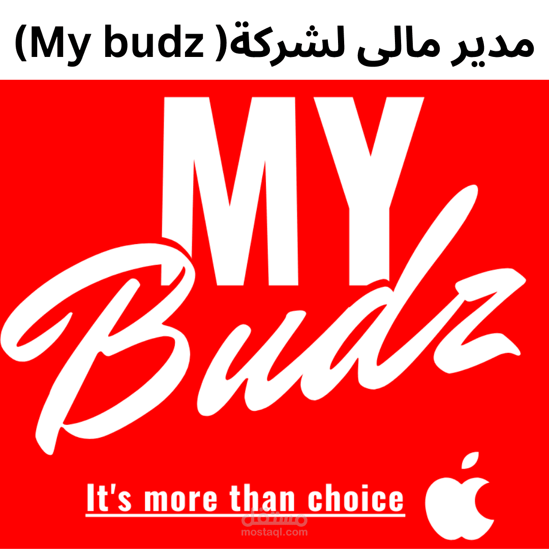 مدير مالى E commerce لمتجر My budz