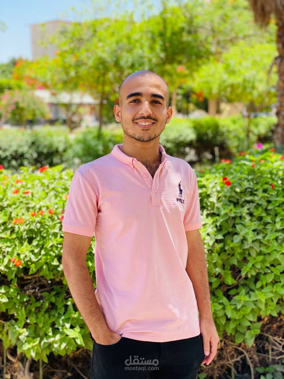 مترجم في العديد من اللغات