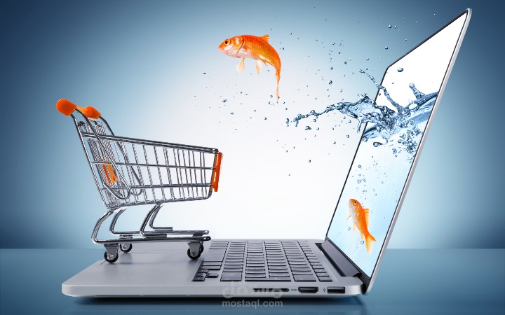 موقع تسوق(ecommerce website)