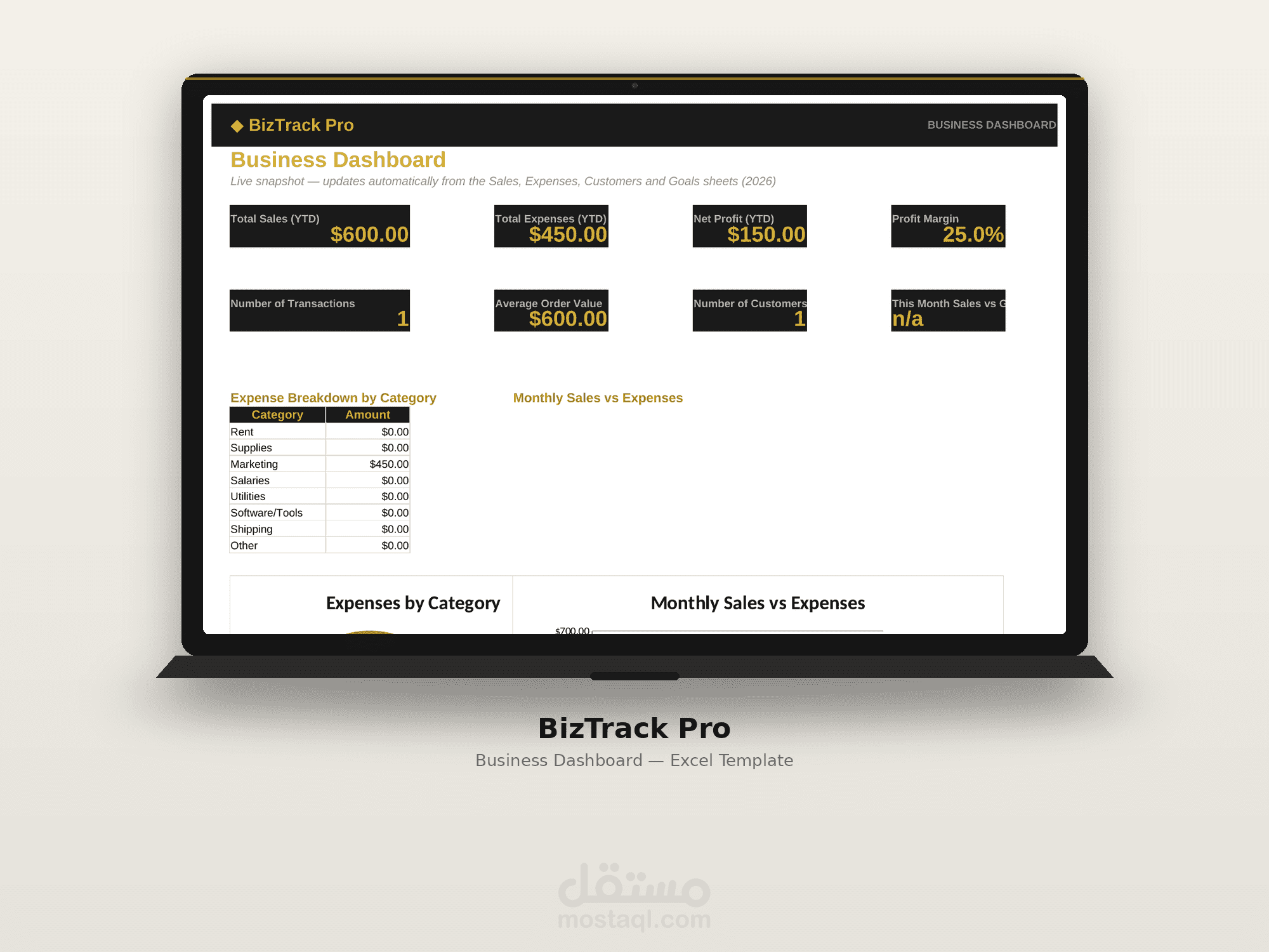 BizTrack Pro - نظام متكامل لتتبع المبيعات والمصاريف على Excel
