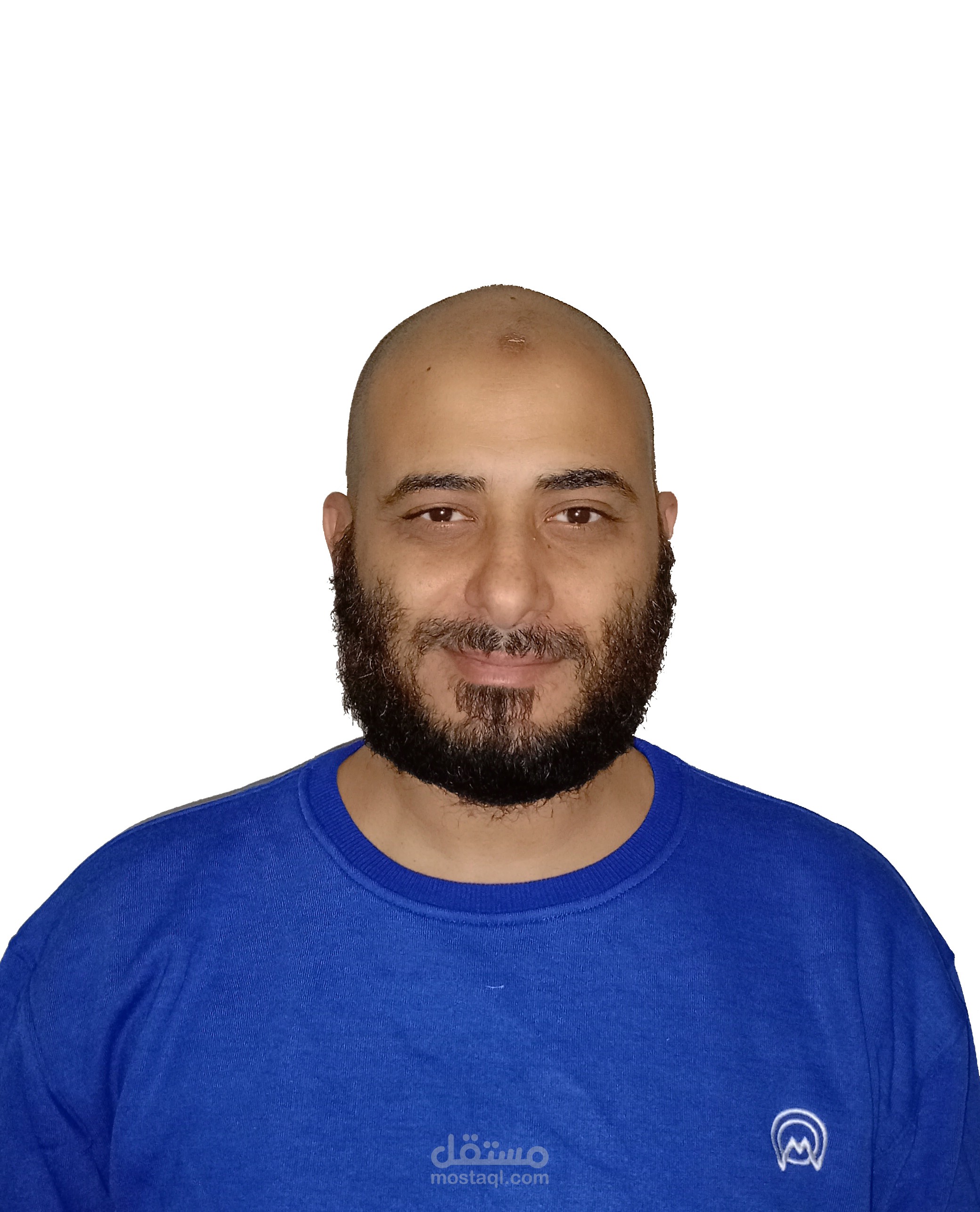 VBA Developer / Excel Macro Developer / Data Entry Specialist