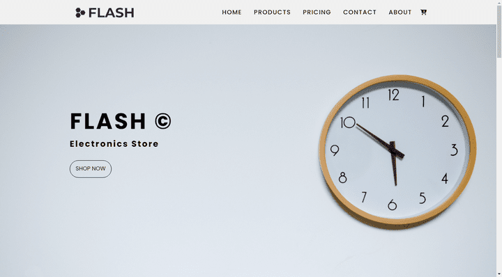 Flash - Web Design for Electronics Store HTML5 | CSS3