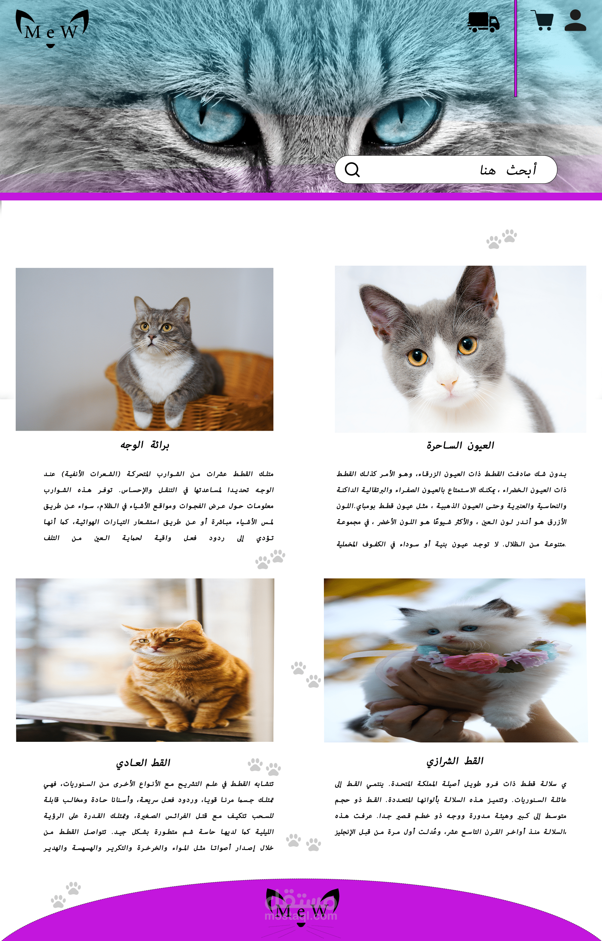 صفحة ويب