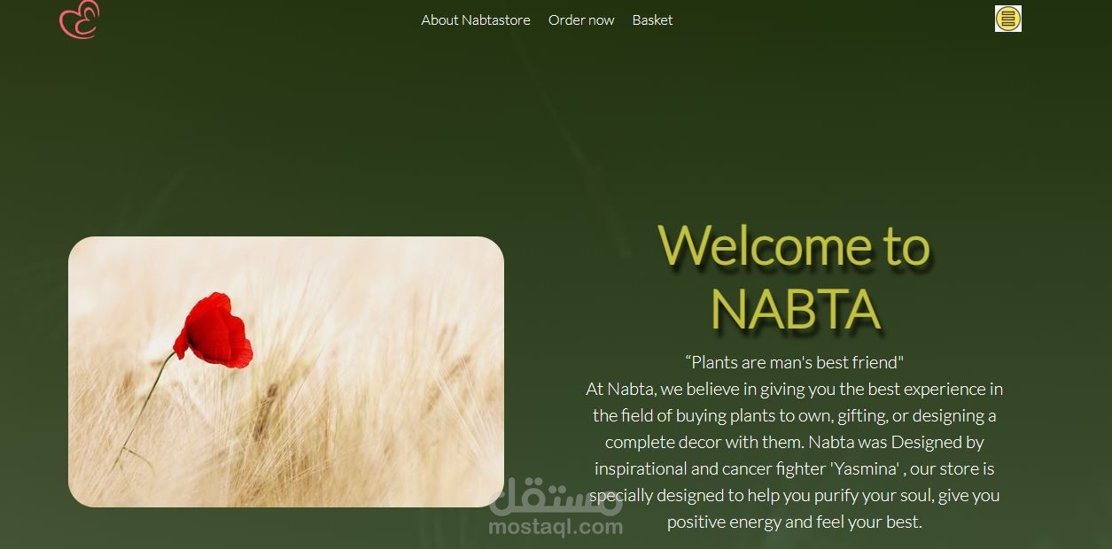 WEBSITE: NABTA