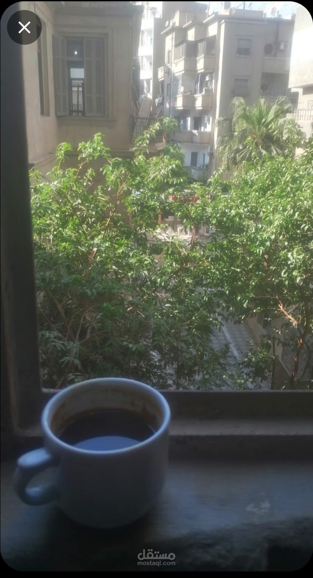 فيروز والقهوة ️