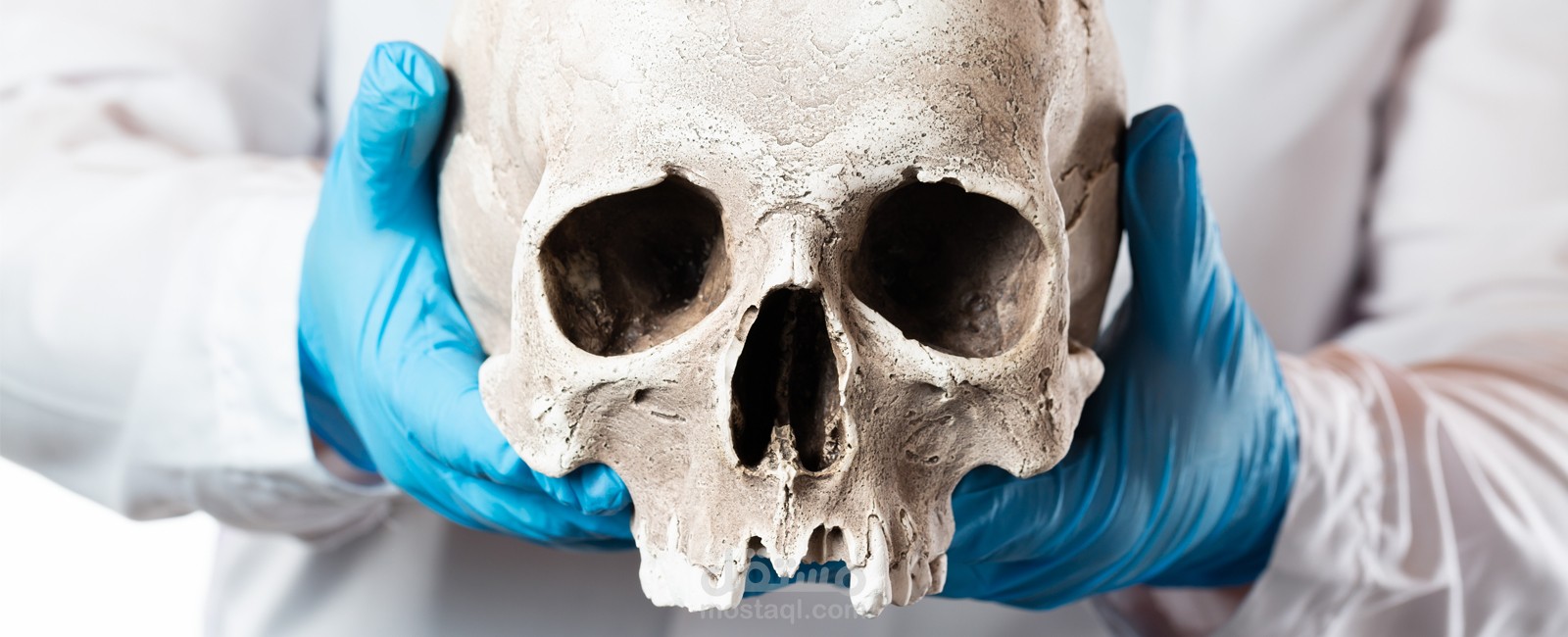 أسئلة متعددة الاختيارات علي مادتي الطب الشرعي والسموم