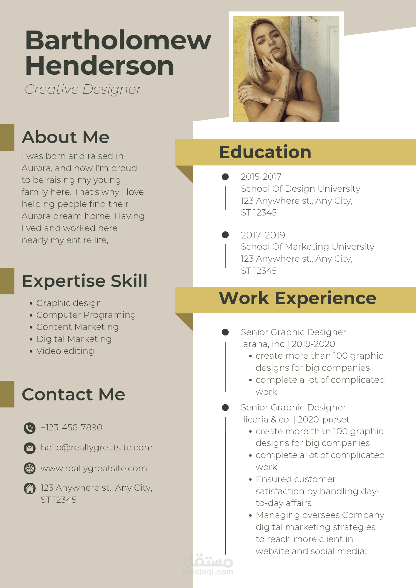 سيرة ذاتية احترافية