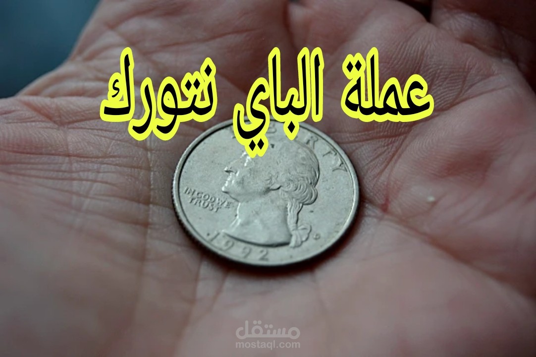ما هي عملة الباي نتورك