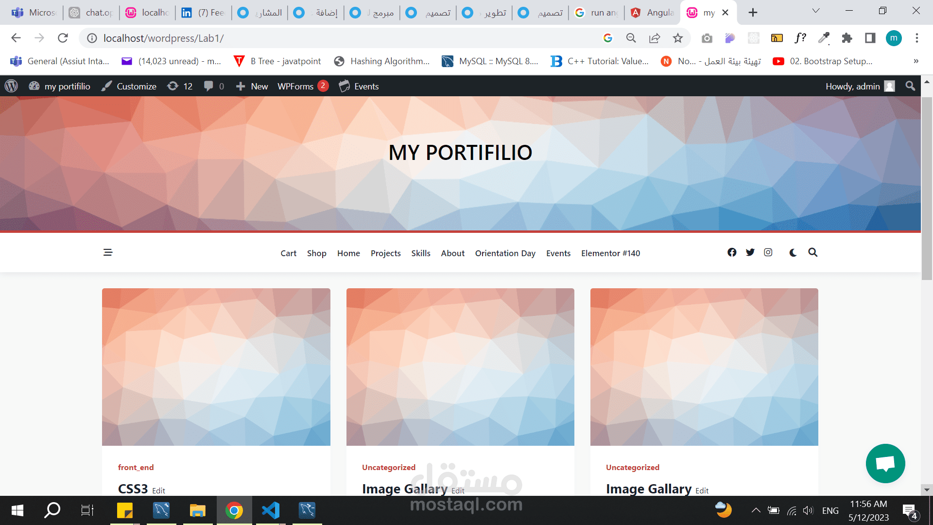 تصميم موقع e-commerce بواسطة WordPress