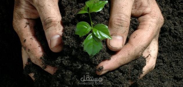 تصميم الشعار