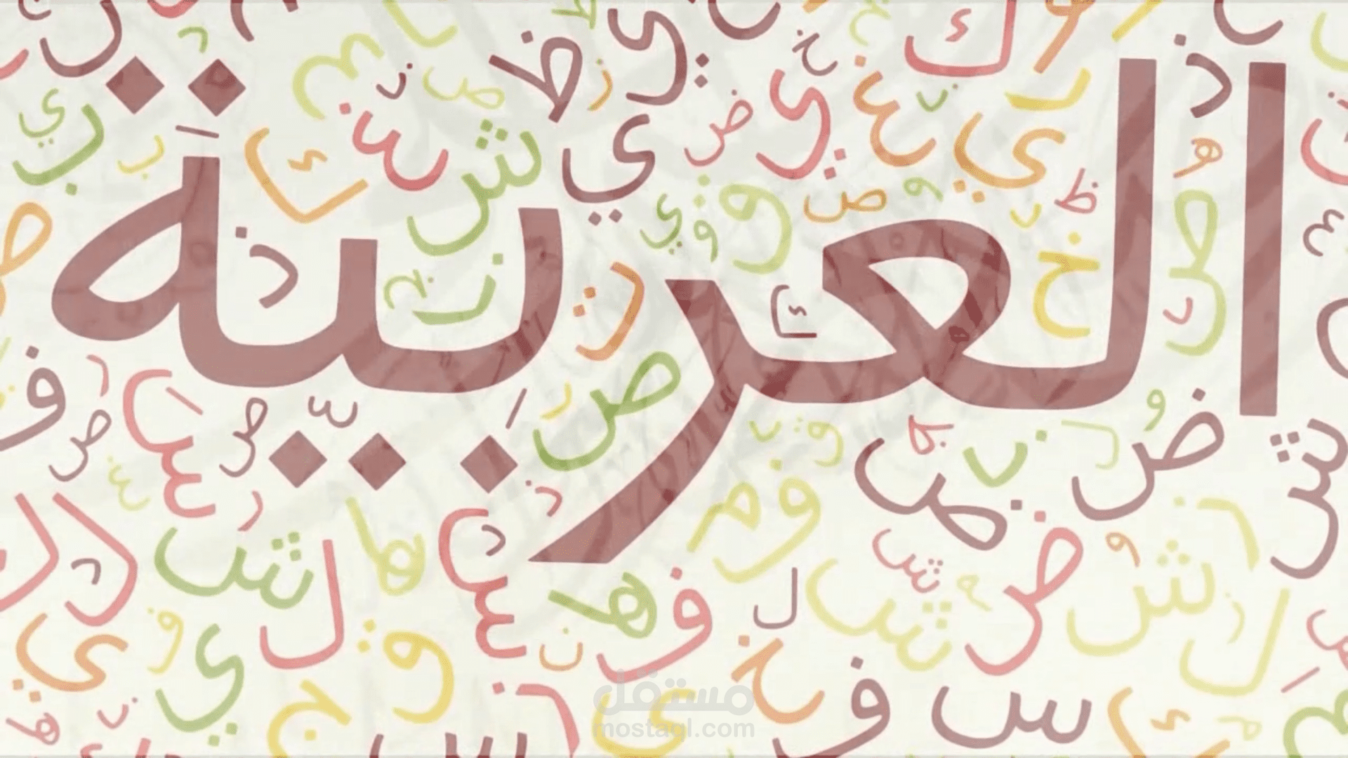 حلقات برنامج