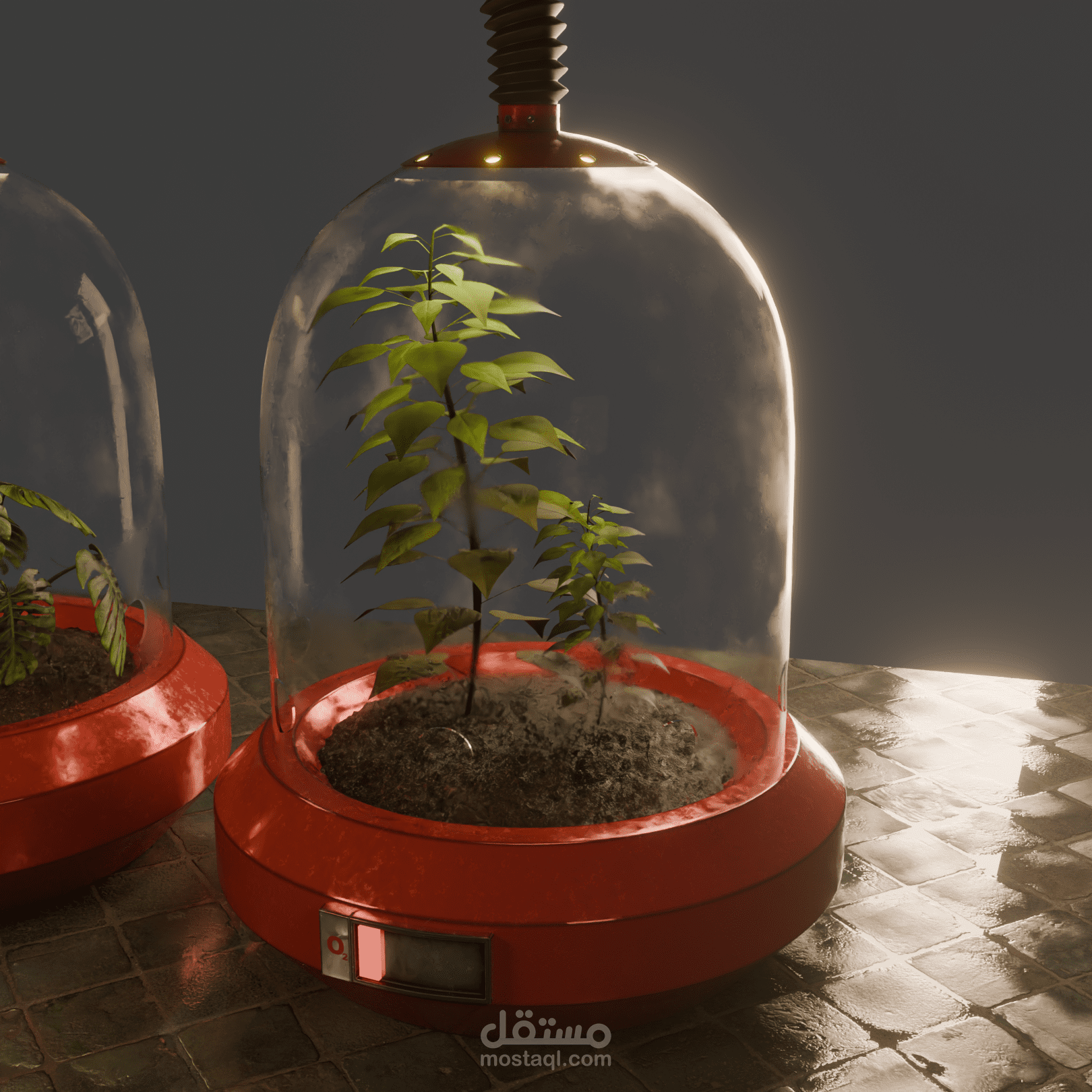 THE GREEN LUNG (O2 Machine)