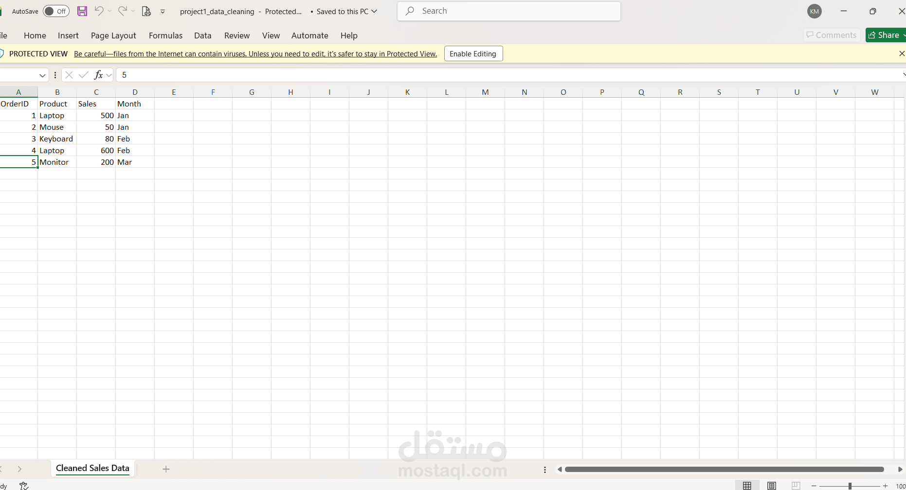 Data Cleaning Using Excel