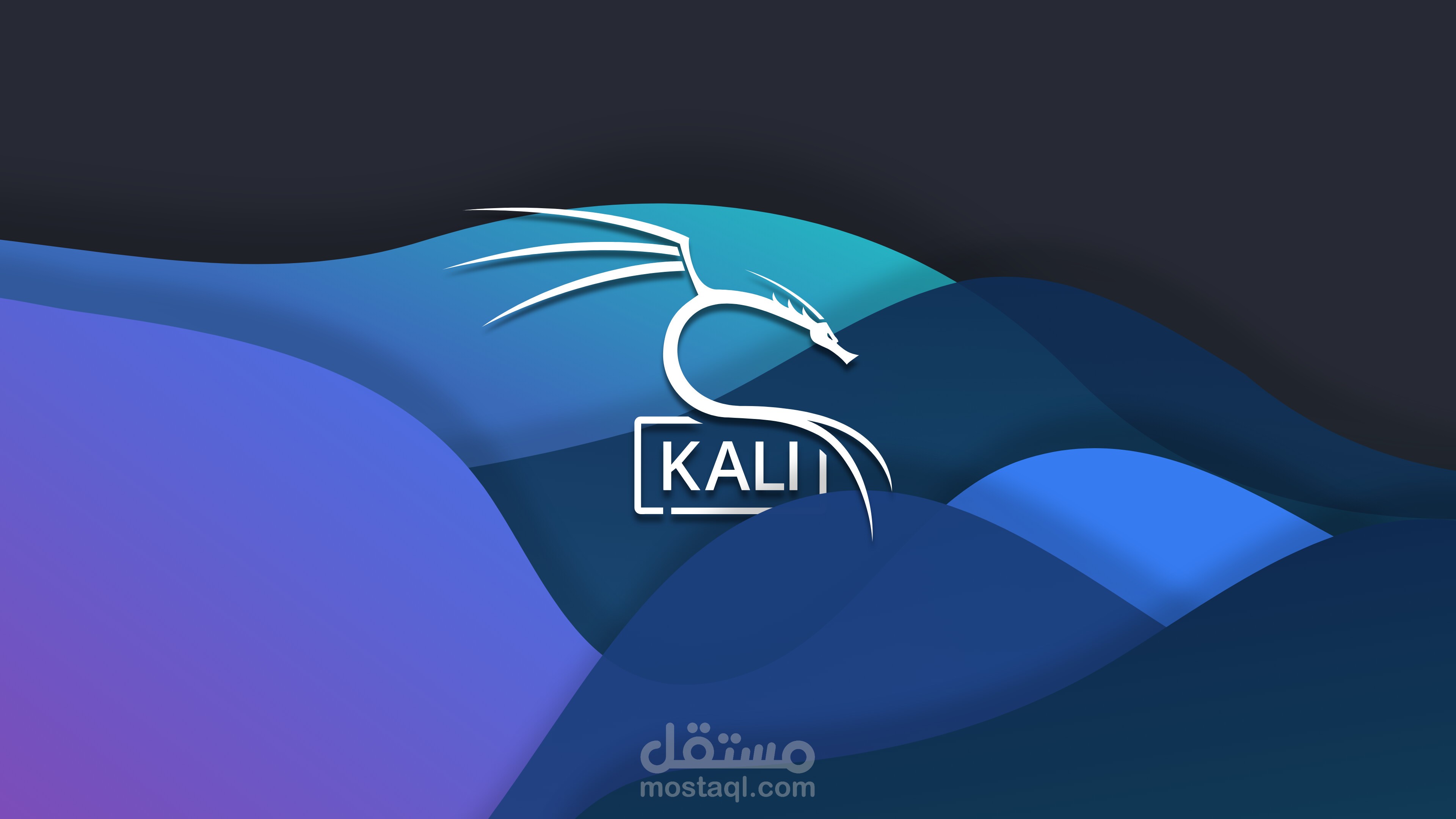 تعليم وشرحشرح طريقة تنزيل نظام كالي لينكس خطوة بخطوة | تعليم عن بُعد