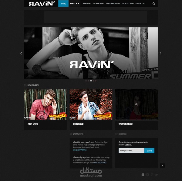 Ravin Web Site