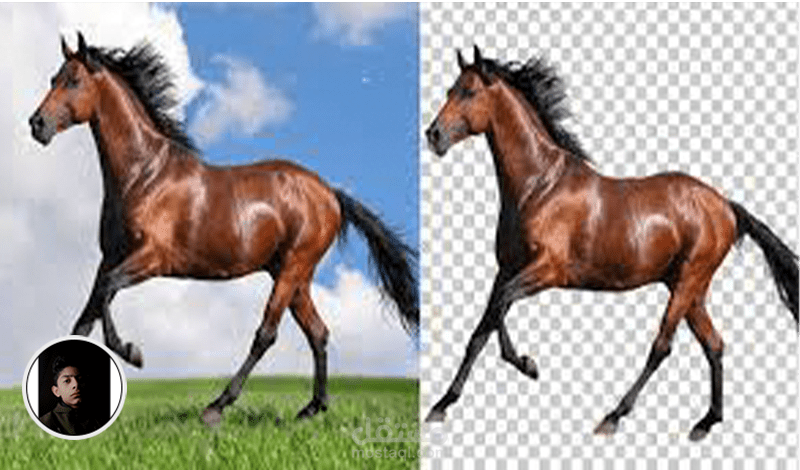 بعض أعمالي في ازالة خلفية الصور باحترافية (Remove Background) .