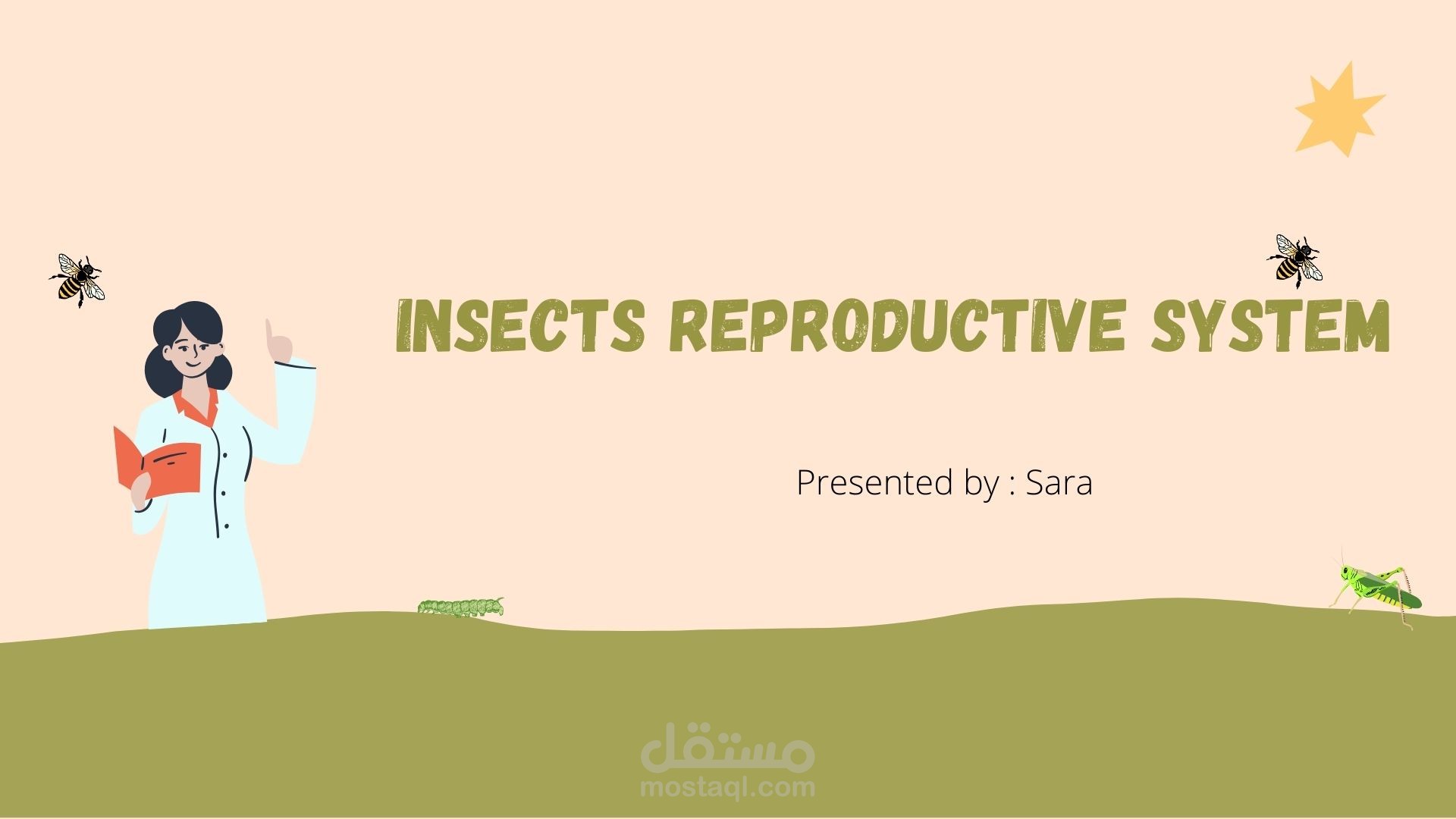 عرض تقديمي PPT