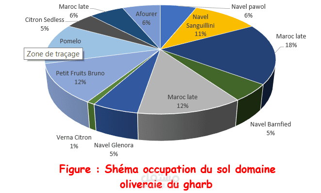 احصاء وخطة المجال الزراعي بواسطة Excel