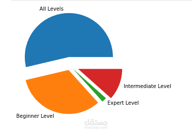 UDEMY analysis project