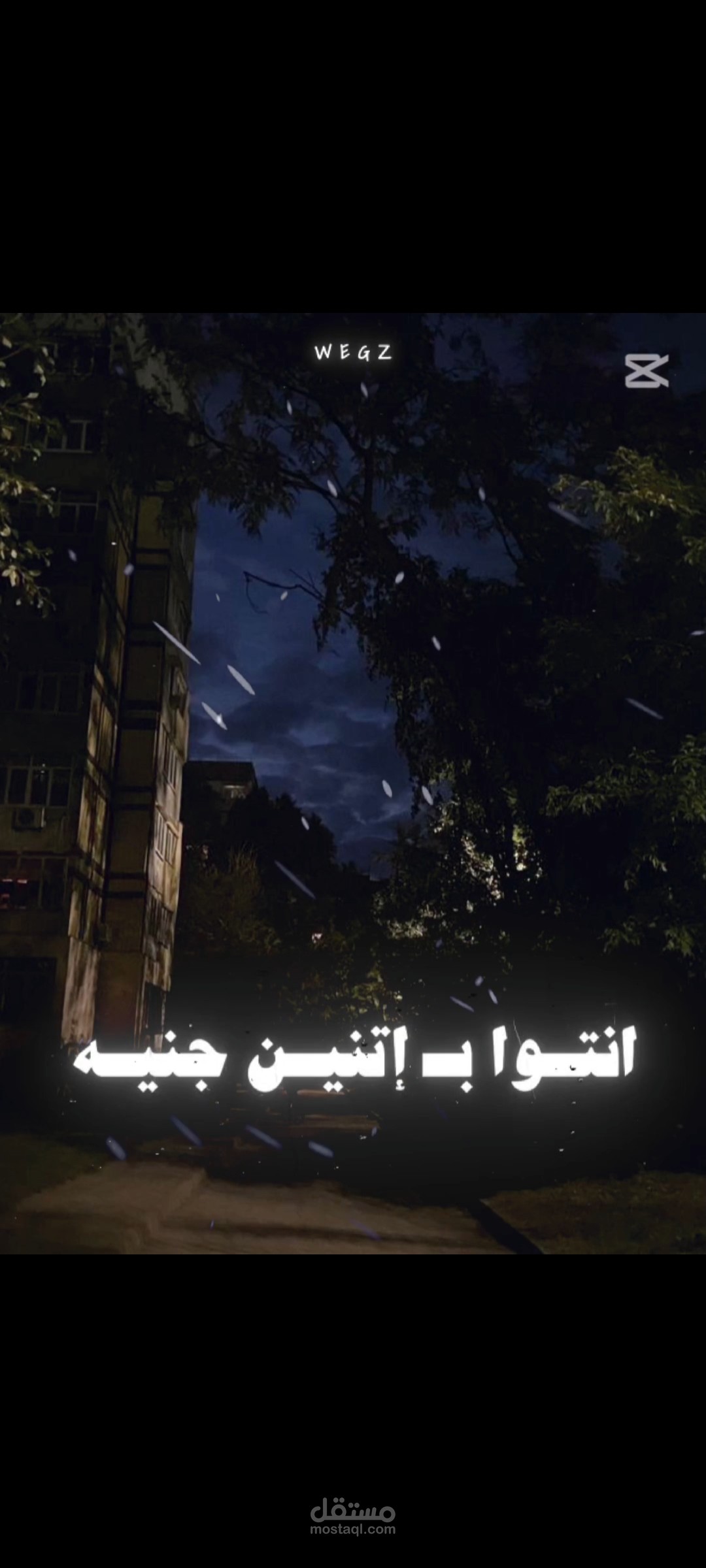 مونتاج فديو قصير