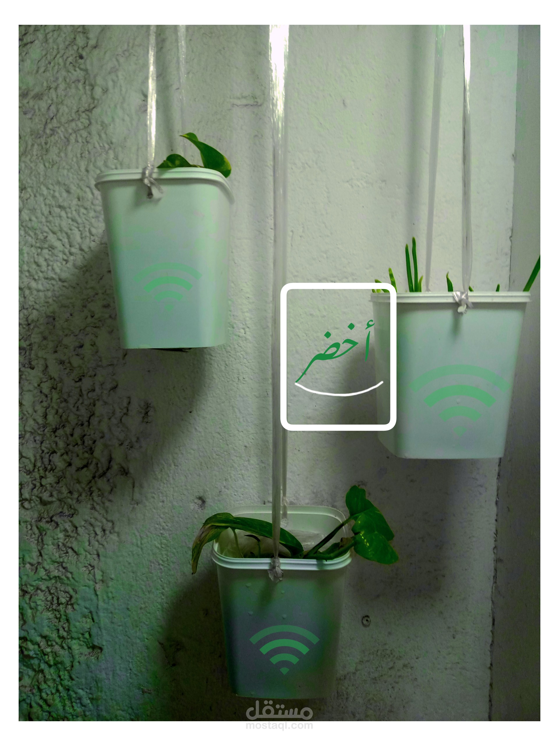 اخضر،او Green انتاج صوت + تصميم فيديو كتابي, وبوستر