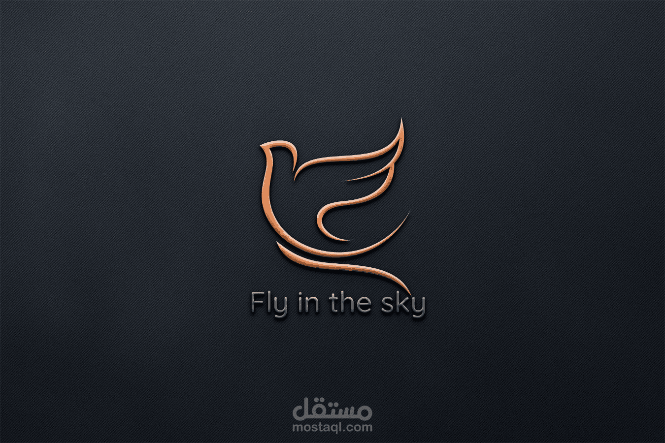 fly in the sky