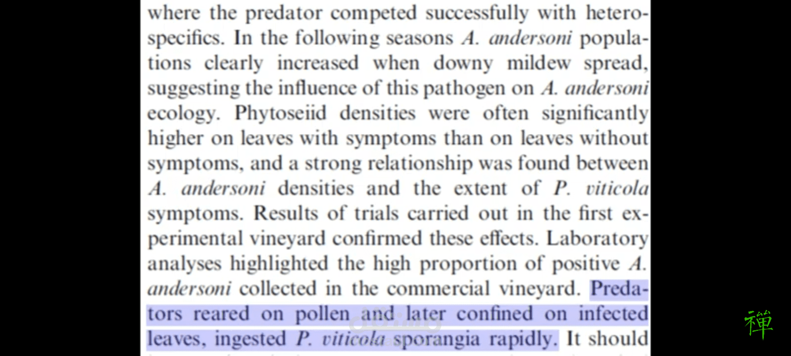كتابة ومراجعة وتدقيق لغوى لاي محتوى علمي او اي كتابة باللغتين العربية والانجليزية وعمل عروض تقديمية احترافية بوىبينت