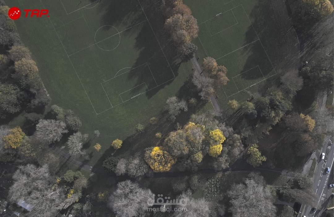 هوية بصرية TAP