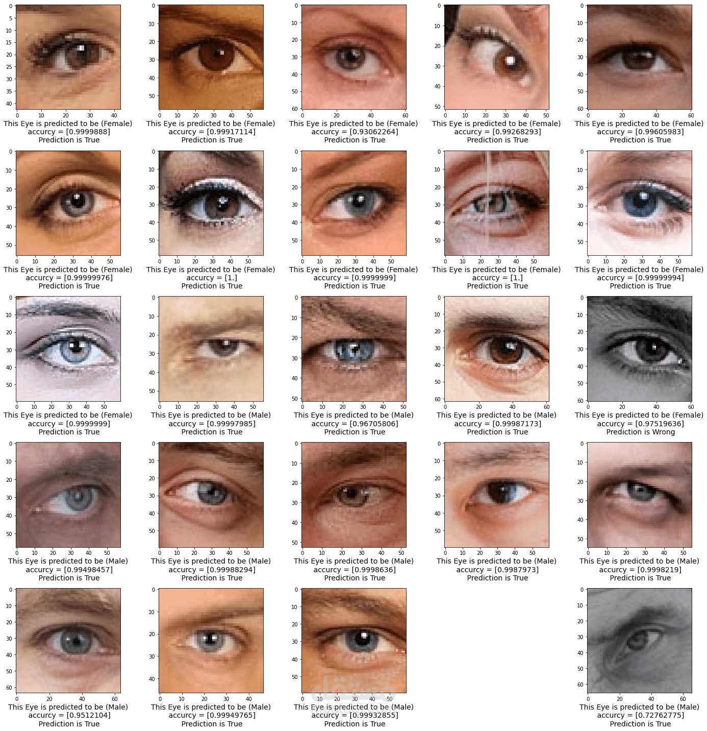Eye Gender Classifier