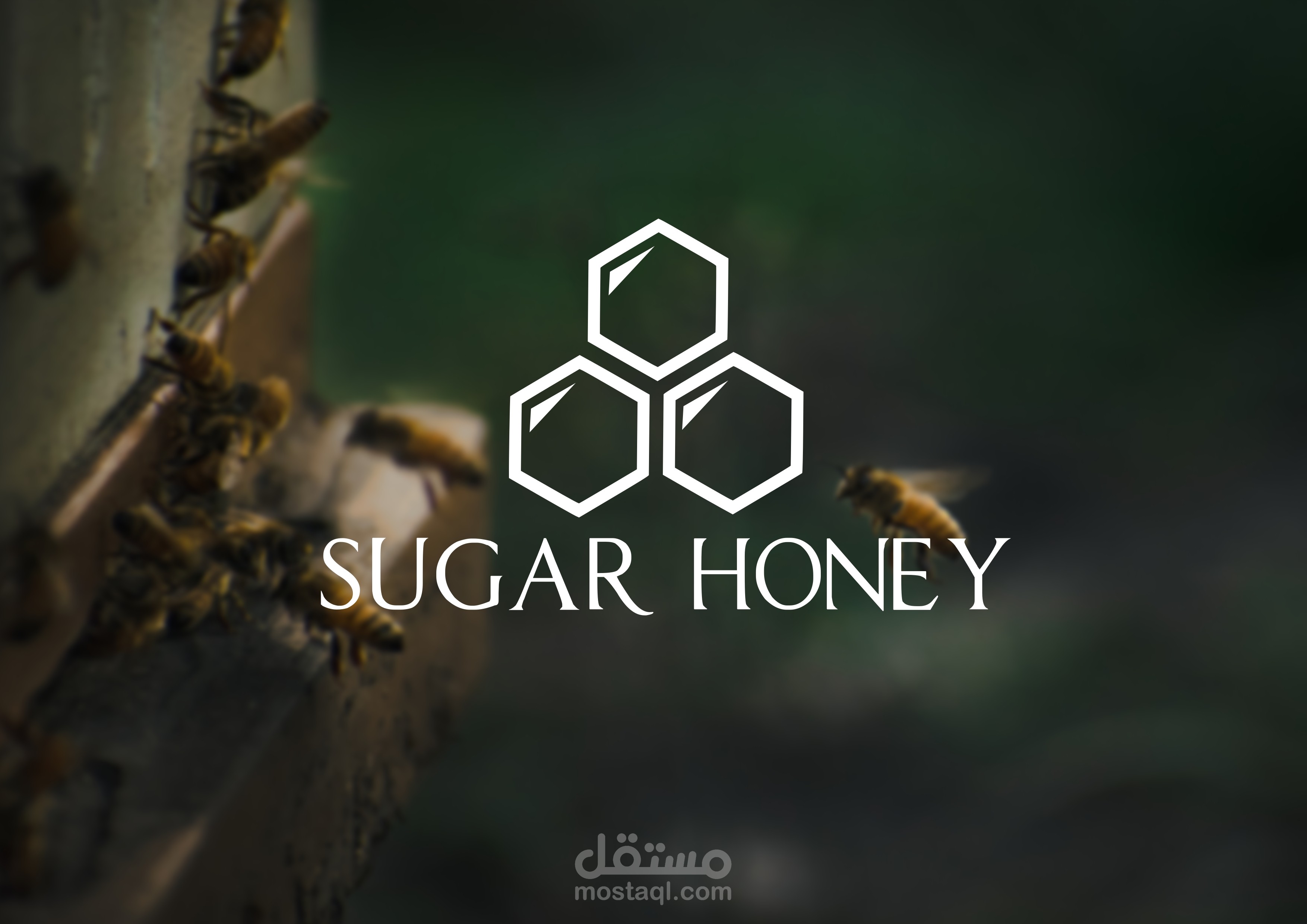 تصميم شعار عسل