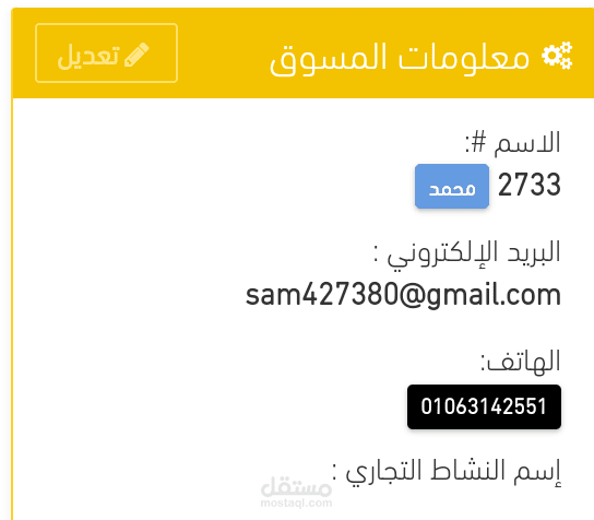 مسوق الكترونى محترف
