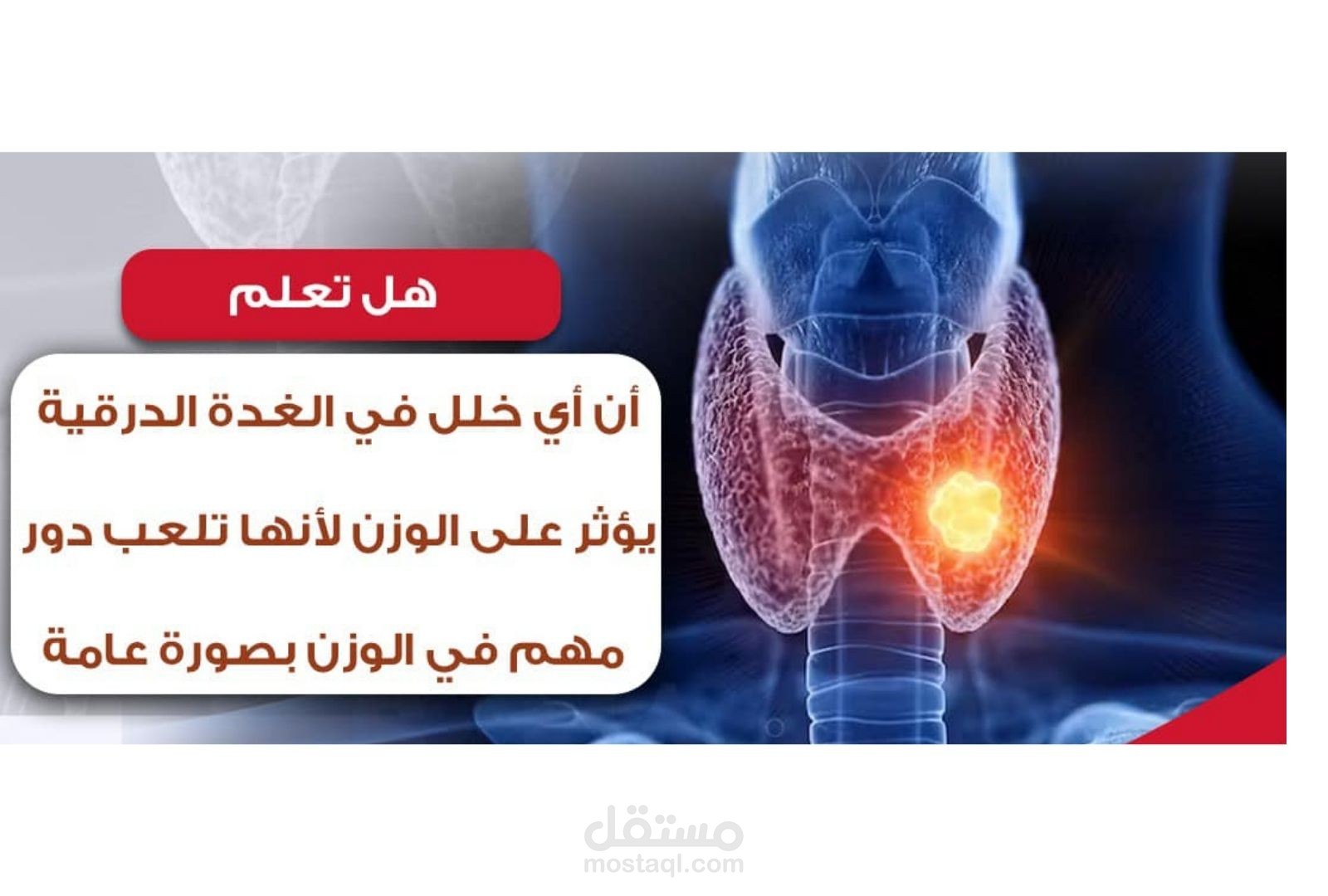 كتابة المعلومات الطبية