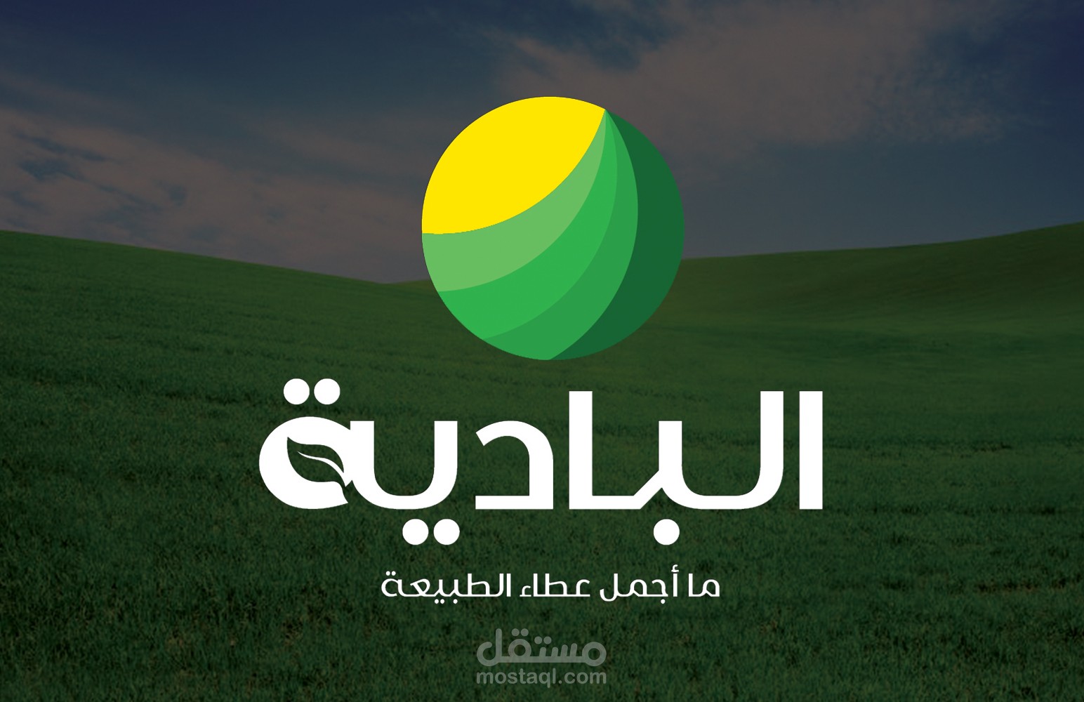 تصميم لوجو و هويه لشركه البادية