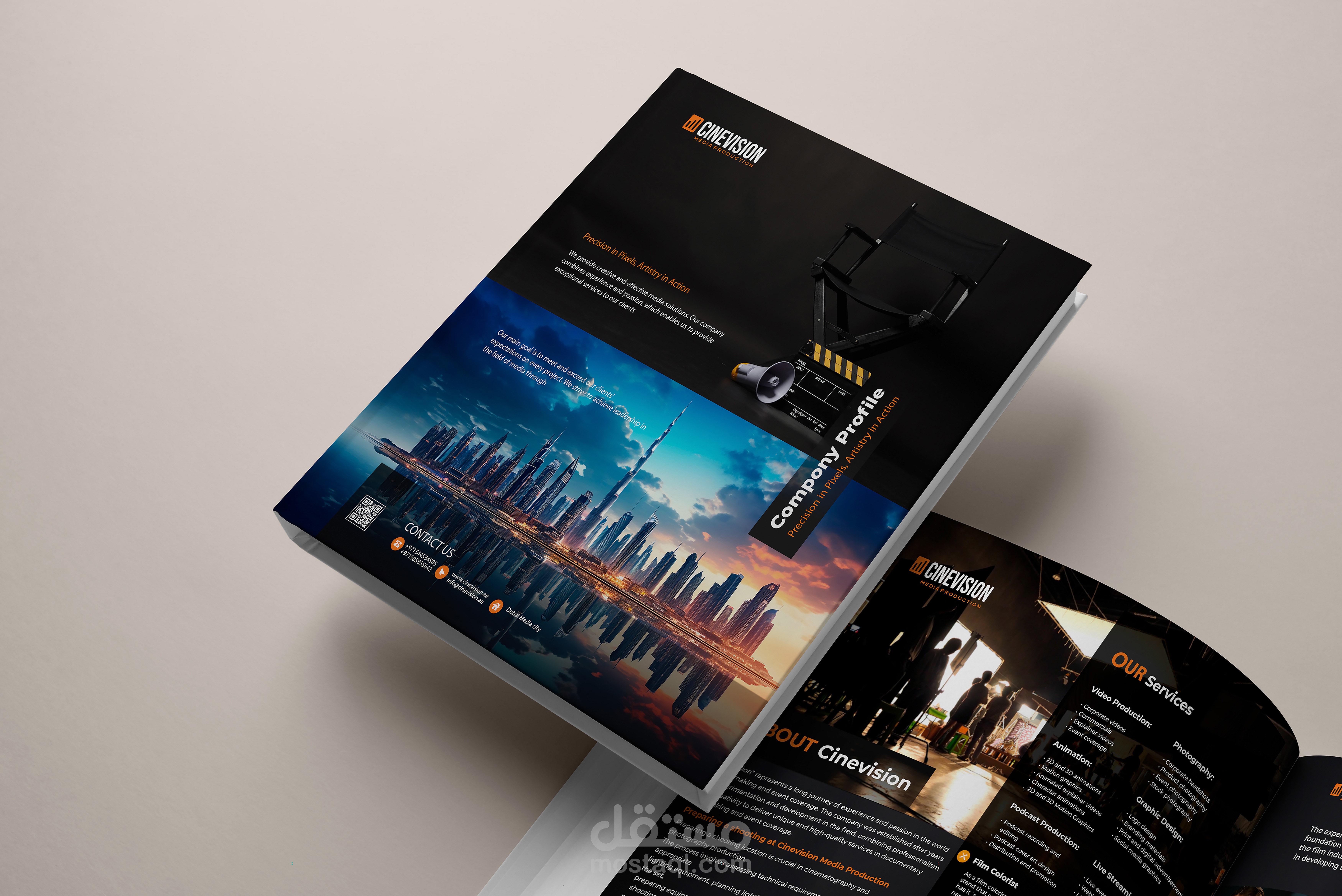 cinevision profile company