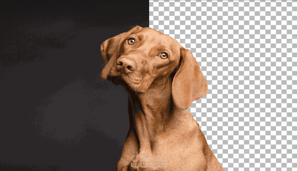 تبديل او ازالة الباك جراوند لصورك بدقة عالية