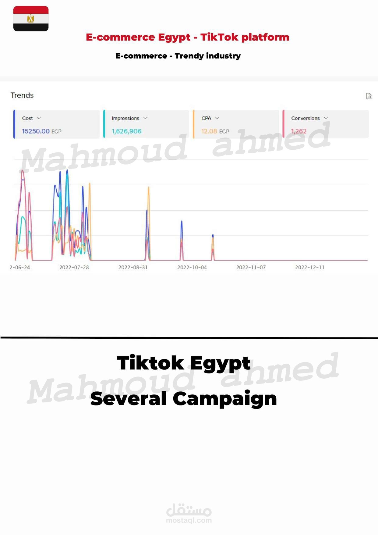 E-commerce  in Egypt  | Trendy industry