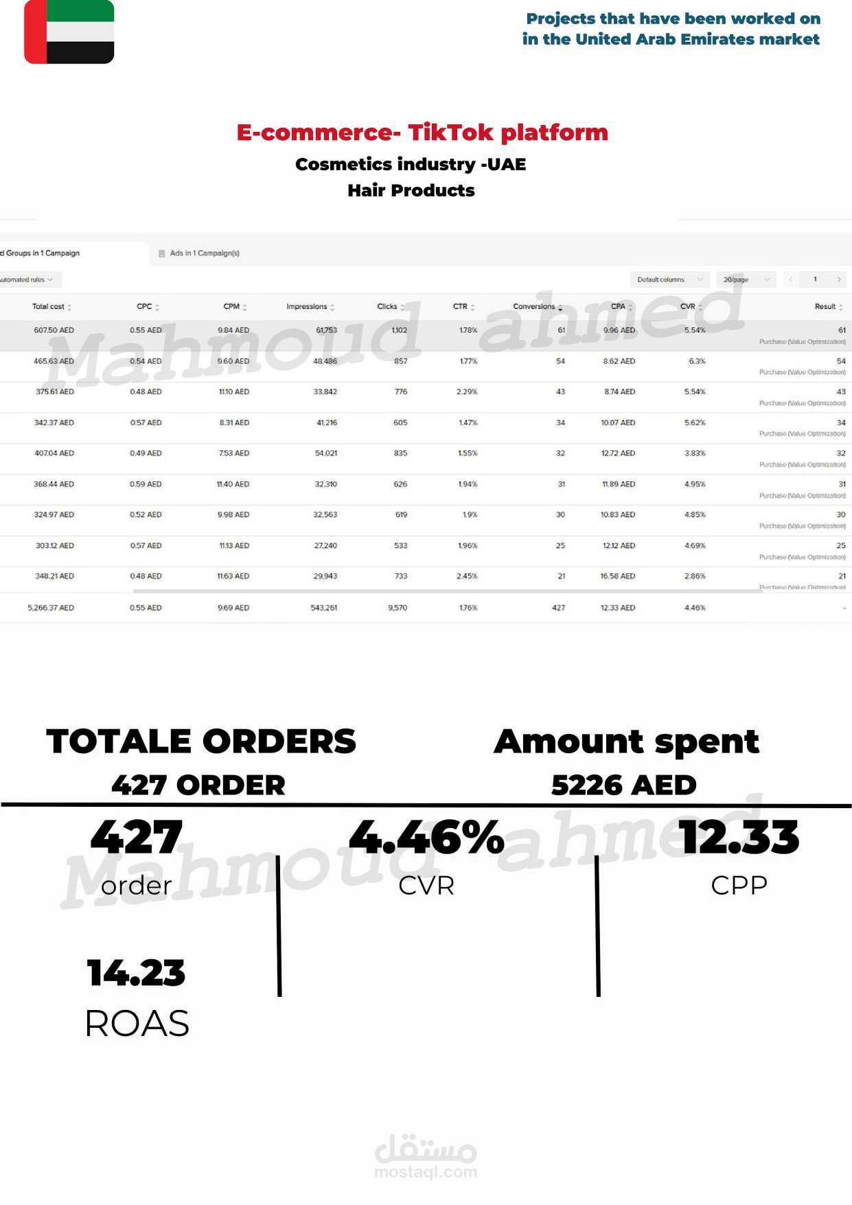 E-commerce in UAE | Cosmetics (hair care ) industry