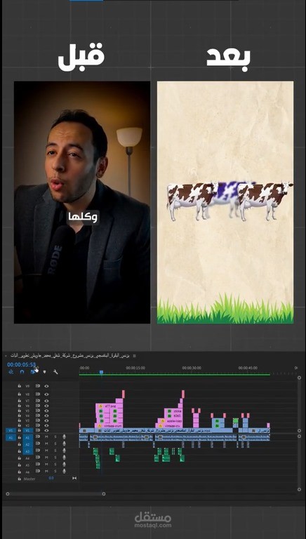 مونتاج ريلز