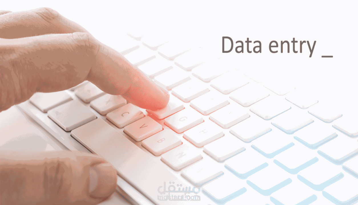 إدخال بيانات / Data Entry