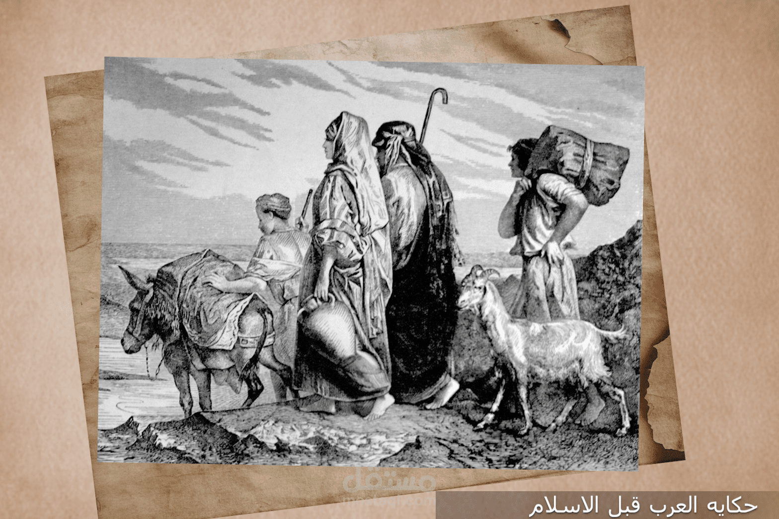 نموذج لفديو وثائقى