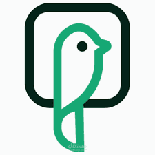 تحويل ملفات pdf الى فلاش