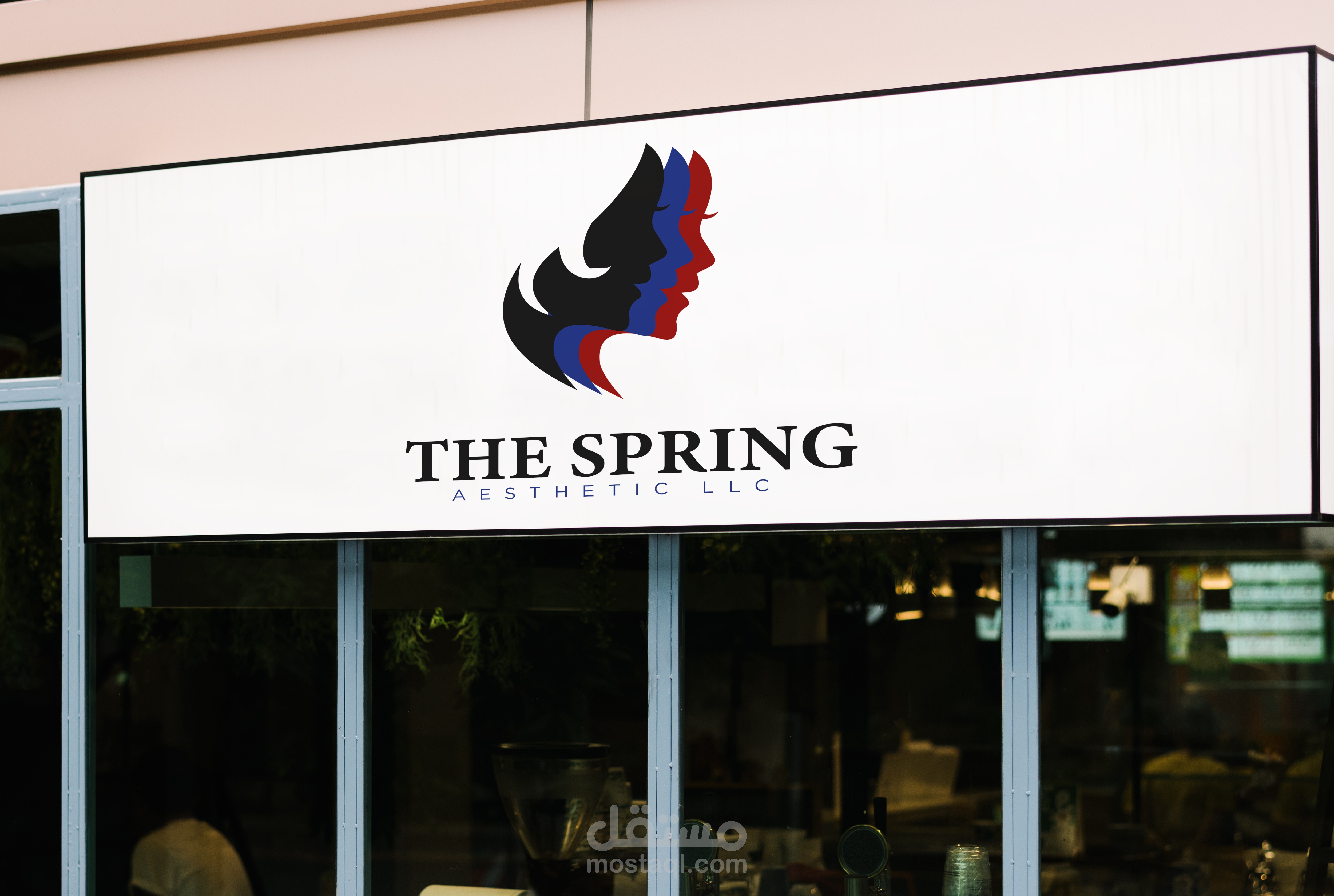 THE-SPRING-AESTHETIC-LLC