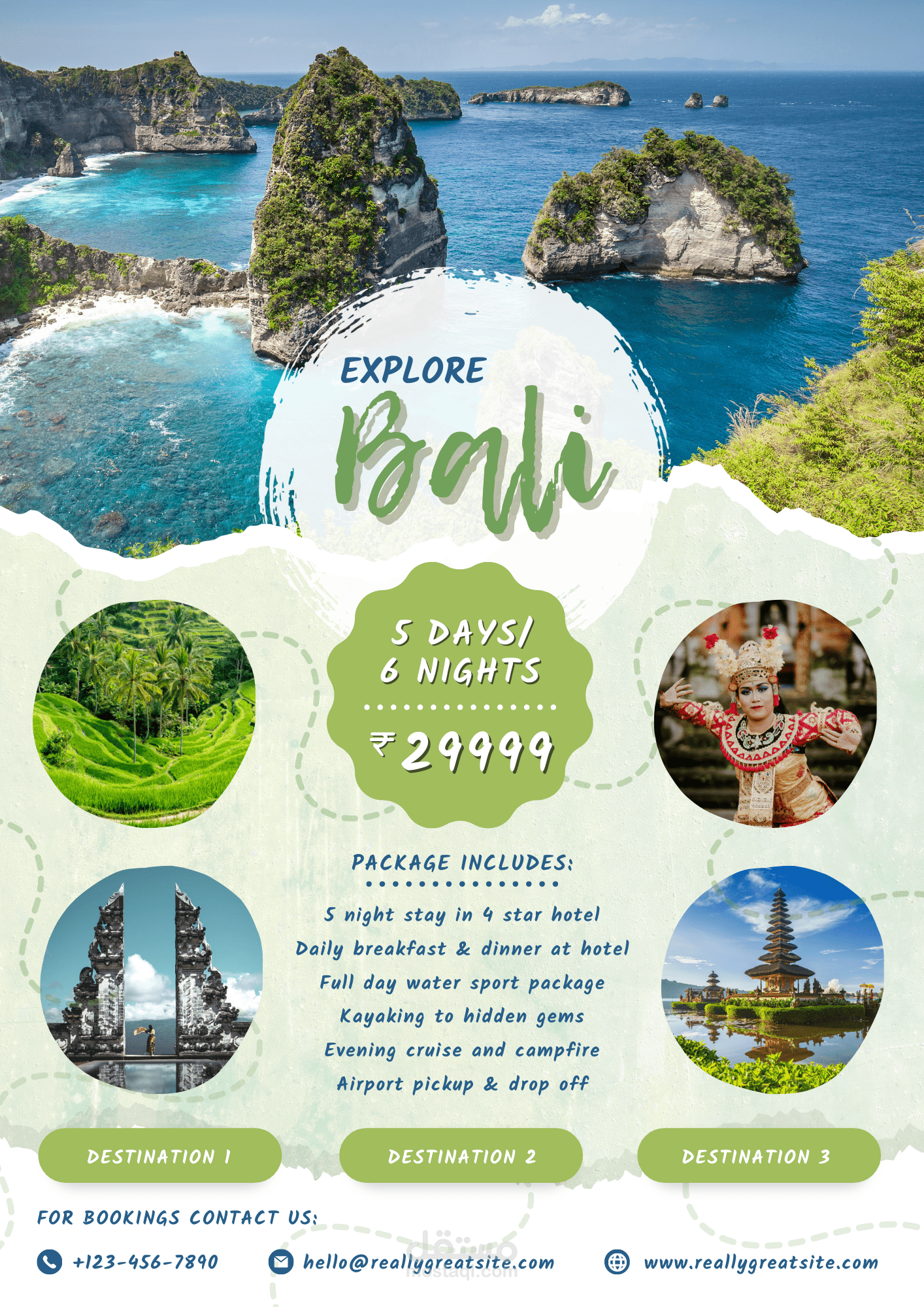 فلاير بورتريه