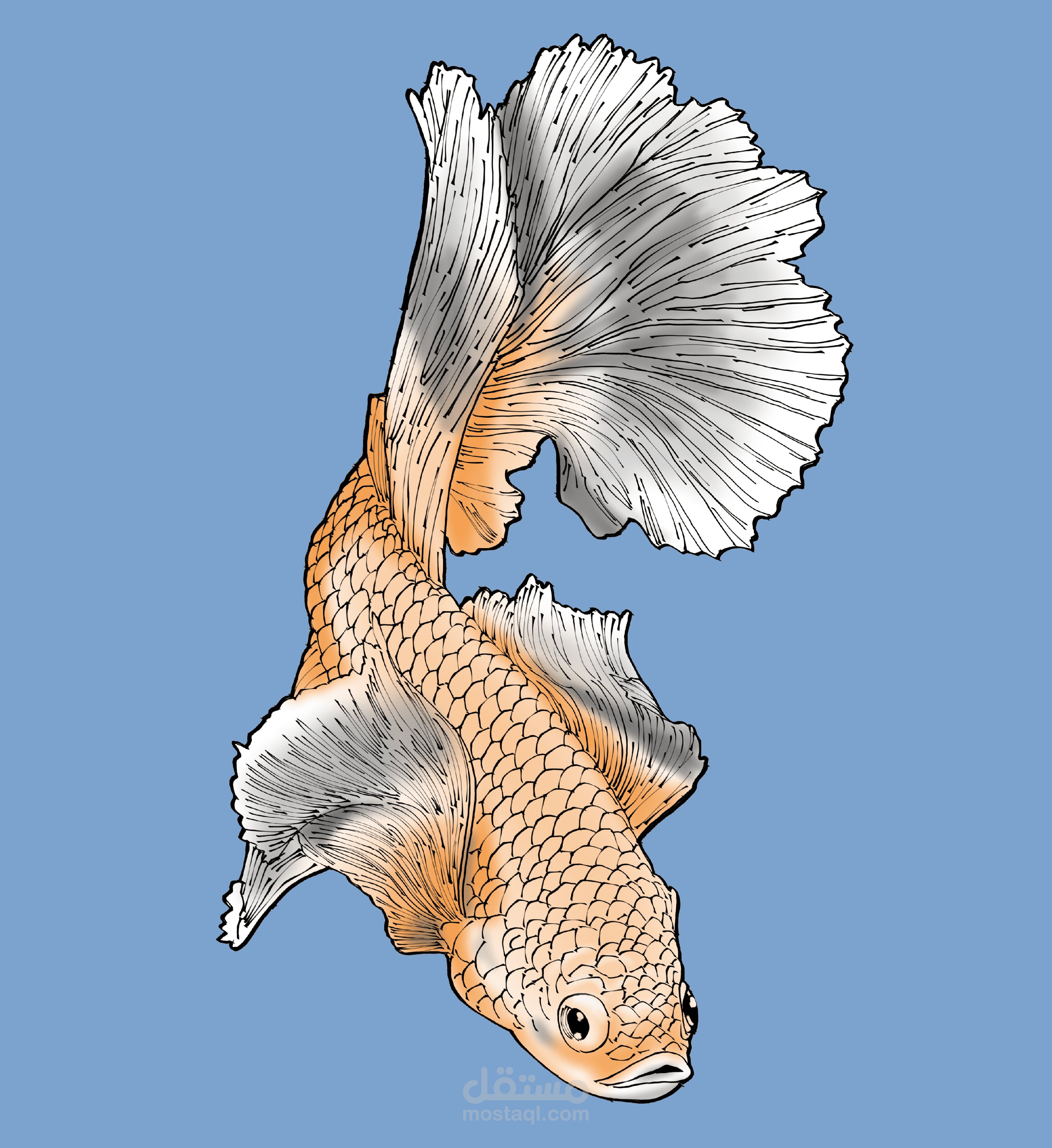 رسم توضيحي لسمكة